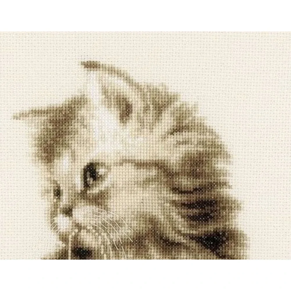 Vervaco Kitten Cross Stitch Kit 0162378 Counted Cross Stitch Kit Cat